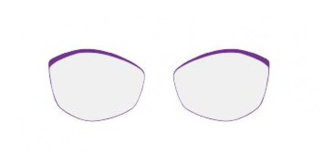 Silhouette Accent Ring FW 5097FW Eyeglasses - view 3